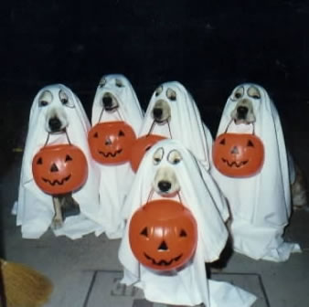 Hallowen