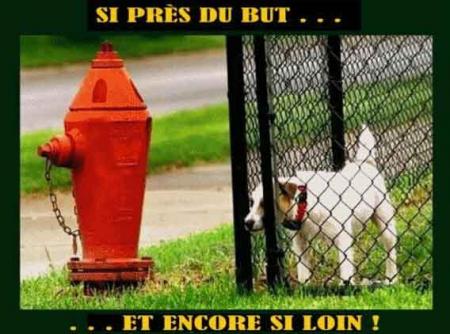 Mdr !