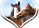 Chevaux